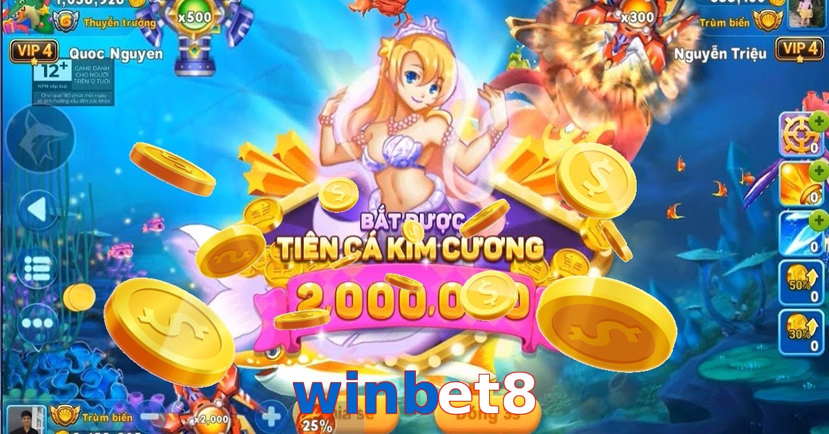 winbet8