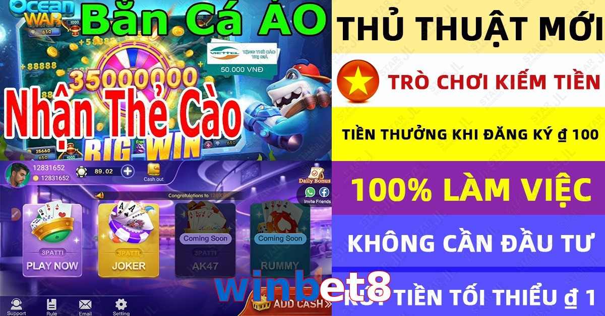 winbet8