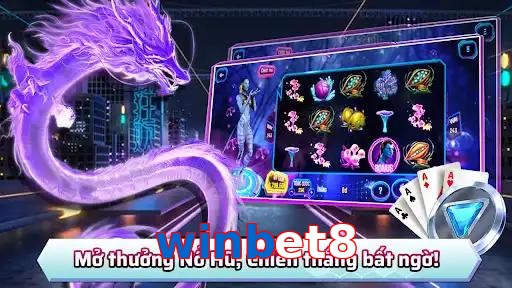winbet8